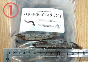 【 送料無料 】オリジナル バラ冷凍餌 よりどり４パックセット どじょう いかなご きびなご 淡水エビ サザエビ 川エビ 豚 ハツ ツメガエル 