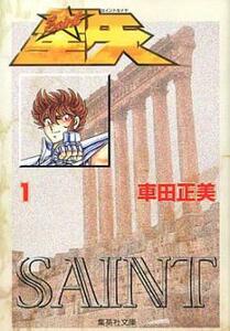 聖闘士星矢 文庫版 全 15 巻 完結 セット レンタル落ち 全巻セット 中古 コミック Comic