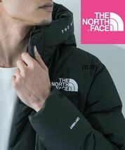 THE NORTH FACE THE NORTH FACE ノースフェイス ダウンジャケット ダウンコート フリームーブ XL メンズ レディース バルトロ ヌプシ 韓国_画像3