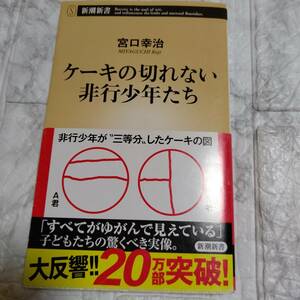 ケーキの切れない非行少年たち 宮口幸治 