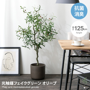 オリーブ 観葉植物 人工観葉植物 フェイクグリーン 空気清浄 光触媒 消臭 抗菌 防汚 ホルムアルデヒド分解 高さ125cm 人工