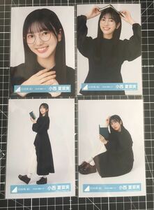 小西夏菜実　2023 読書コーデ　生写真 日向坂46 ４種コンプ　（検）　ガラス窓が汚れている　ハロウィン　読書コーデ