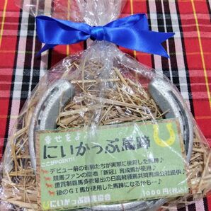 にいかっぷ馬蹄 ホースシュー お守り?
