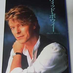 ●デヴィッド・ボウイー ジェリー・ホプキンス/汚れ有り