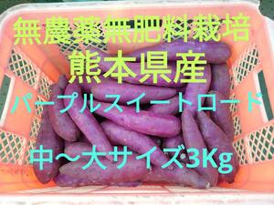 ●無農薬無肥料栽培●熊本県産●パープルスイートロード●中～大サイズ●3ｋｇ