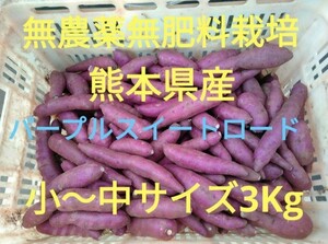 ●無農薬無肥料栽培●熊本県産●パープルスイートロード（紫芋）●小～中サイズ●3Kg