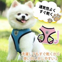 ハーネス 犬 リード ブルー 小型犬 胴輪 子犬 夏 メッシュ ベスト 猫 リード付き 青色_画像2