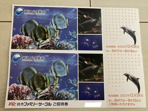 新江ノ島水族館 招待券2枚 ペア　入館　無料券　有効期限2023年12月31日 江ノ島　水族館