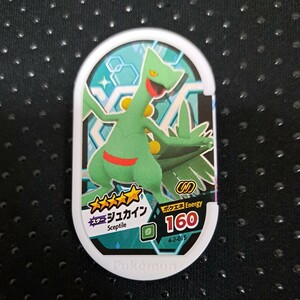 ポケモンメザスタ　スター　ジュカイン　ゴージャススター　2弾　チェイン