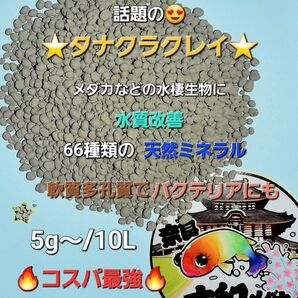 ◎大和メダカ◎話題の【タナクラクレイ】500g　６６種類の天然ミネラル　水質改善　多孔質でバクテリアに　送料無料！秋冬の越冬にも