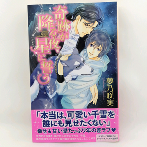 【X070】奇跡が降る夜、星に誓う 夢乃咲実 御園えりい BL小説 ボーイズラブ小説 恋愛 女性向け BL本 BLコミック 新書判 ビーボーイノベルズ