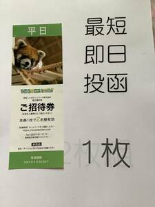 即決　3699円★伊豆シャボテン動物公園★平日2名様招待券★伊豆シャボテンリゾート　株主優待券★ミニレター63円送付