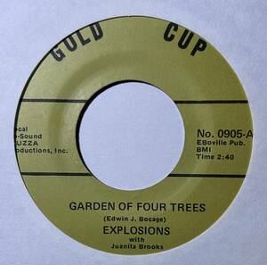 Explosions With Juanita Brooks 「Garden Of Four Trees / Teach Me」 funk45 soul45 deep funk 7インチ