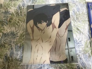 d249クリアファイル　Free! Dive to the Future　アニメディア特典　七瀬遙