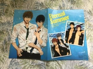 d242クリアファイル　Free!-Eternal Summer-」 アニメージュ特典　Wポケット　遙 真琴　松岡 凛　宗介