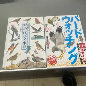 野鳥　本