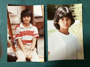 薬師丸ひろ子　マルベル堂プロマイド写真2枚　ラガーシャツ　80年代アイドル 