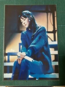 蒲池幸子(坂井泉水) 写真2枚セット　紺　ZARD