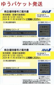 最新 ANA 株主優待券 2枚セット　全日空