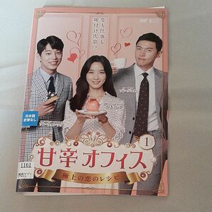 韓国ドラマDVD 甘辛オフィス~極上の恋のレシピ~全20話