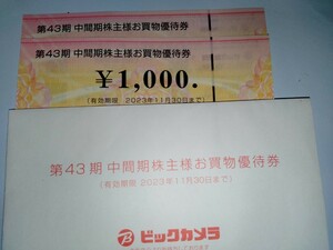 ☆送料込☆ビックカメラ　株主優待券　1000円２枚