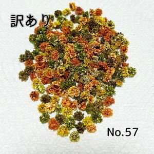 【訳あり】No.57 かすみ草　ドライフラワー　訳ありオータムmix