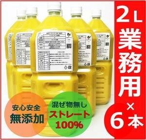 送料無料 大宜味産 6本セット 青切り シークヮーサー 2L 原液 シークワーサー ストレート ジュース 果汁100％ 業務用 ノビレチン シミ対策 