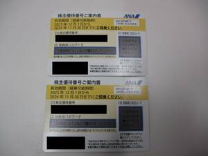 □42532□ANA(全日空)　株主優待券　2枚セット　有効期間　2023年12月1日から2024年11月30日まで