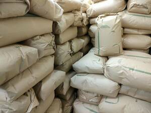 令和５年度　穫れたて新米　兵庫県産【きぬむすめ】　30kg玄米（※精米できます）　本州・四国・九州は送料無料