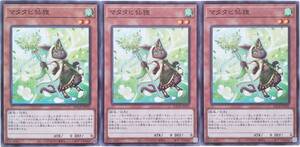 【遊戯王】マタタビ仙狸 3枚セット ノーマル モンスター　効果