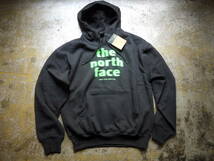 2023最新 US購入 新品 L/ノースフェイス グラフィック ノイズロゴ スウェット パーカー THE NORTH FACE EVLN VINTAGE HOODIE_画像2