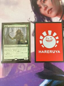 MTG 養育者、マーウィン 統率者デッキ