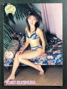 杉村 陽子　RQ2000　111　レースクイーン　水着 グラビア アイドル トレカ トレーディングカード　