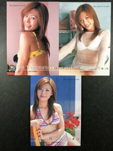 Noriko Namematsu Howdy 07, 08, 09 3 штуки Race Queen Gravure Trading Card Card