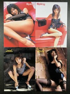 堀口 としみ　Spicy・Venus Revolution　４枚セット　レースクイーン　グラビア アイドル トレカ トレーディングカード　