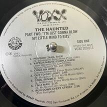 RARE GARAGE PUNK '60s THE HAUNTED / I'M JUST GONNA BLOW MY LITTLE MIND TO BITS VOXX シュリンク付き WITH SHRINK _画像3