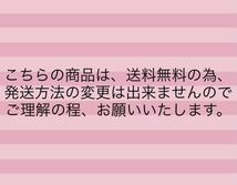 【送料無料】 ミニチョコVS＆Ｗ（400g）＆ イチゴシェル（300g）【包】チョコレート　大容量　チョコ菓子　お買い得_画像5