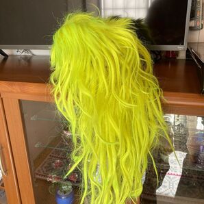 コスプレ用ウィッグ2個まとめて