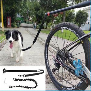 自転車　ワンちゃん　犬　散歩　補助具