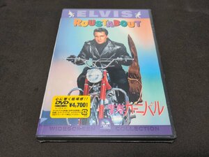 セル版 DVD 未開封 青春カーニバル / 難有 / ec290