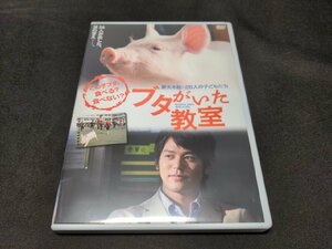 セル版 DVD ブタがいた教室 / 妻夫木聡 / dj156