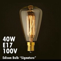 電球 レトロ おしゃれ エジソンバルブ シグネチャー 40W E17 Edison Bulb エジソン電球 インテリア 間接照明_画像1