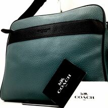 1円 【極美品・希少品】COACH コーチ ショルダーバッグ メッセンジャー 斜めがけ 大容量 レザー グレー レディース メンズ_画像1