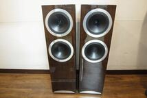 TANNOY - DC10T/ダークウォールナット（ペア）《JP-u》_画像1