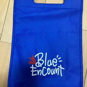 BLUE ENCOUNT ショッピングバッグ