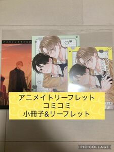 特典のみ　アイウインクでころがして　アニメイトリーフレット／コミコミ小冊子&リーフレット