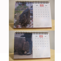 五月山　ウォンバット　カレンダー　2024　③_画像3