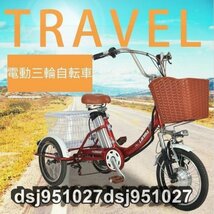 電動三輪車 飛び出し防止機能付き 電動アシスト 三輪三輪電動高齢者大人用 48V 250W 積載量100KG_画像1