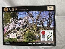 近江お城カード　5種　賤ケ岳・水口城・大溝城・中野城・三雲城　美品_画像4