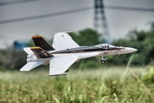 Freewing・F/A-18E スーパーホーネット 64MM EDF Jet - PNP